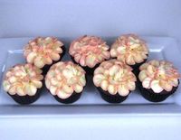 variegated SMBC flower cupcakes