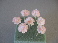 carnations in gumpaste with petal dust, 1st attempt