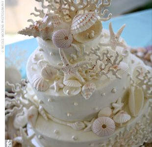 Seashells Coral Starfish Cakecentral Com